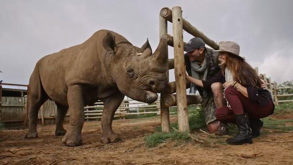 Shannon Elizabeth | Watch: Hollywood Star Gives It All Up for South Africa