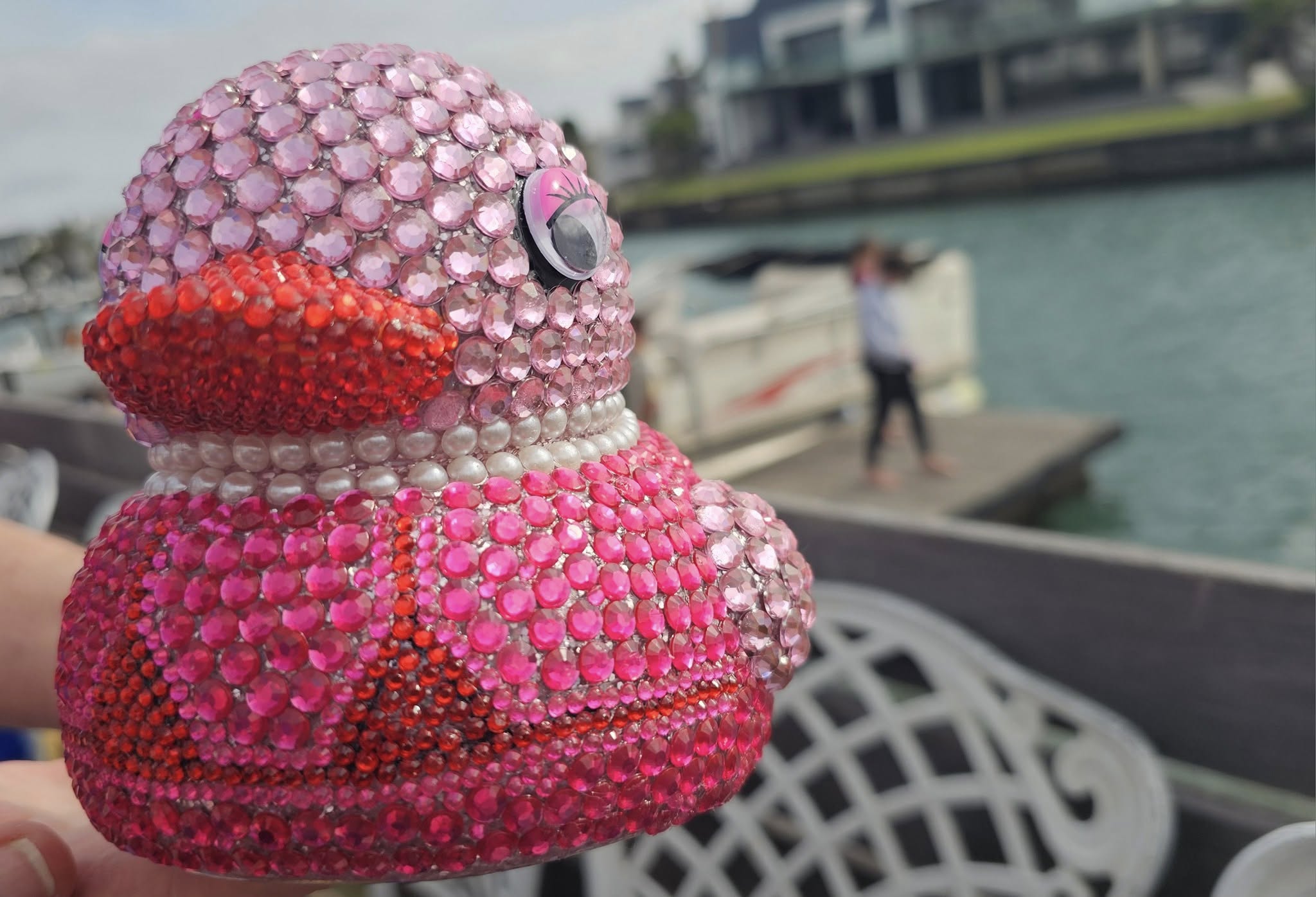 St Francis Bay’s Lucky Ducky Race Turns Splashes into Support for Rescue Pets