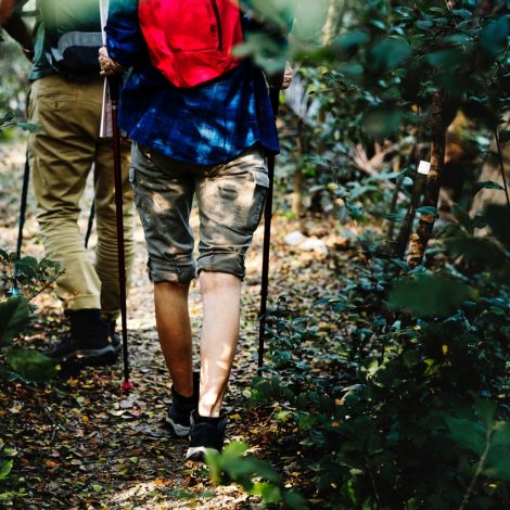 Husband Heatwave Hike Lottering River Tygerberg Nature Reserve Hiking SANParks Nature Joburg unfit hiking