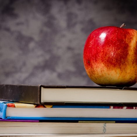 no-fees School Malala Yousafzai World Food Day App exams classmates