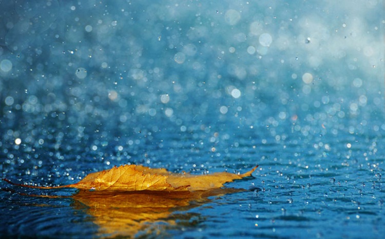 rainfall 24-hour rains Elderly Lady