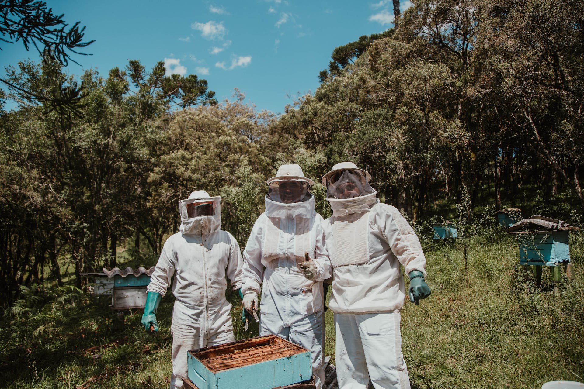 Beekeepers