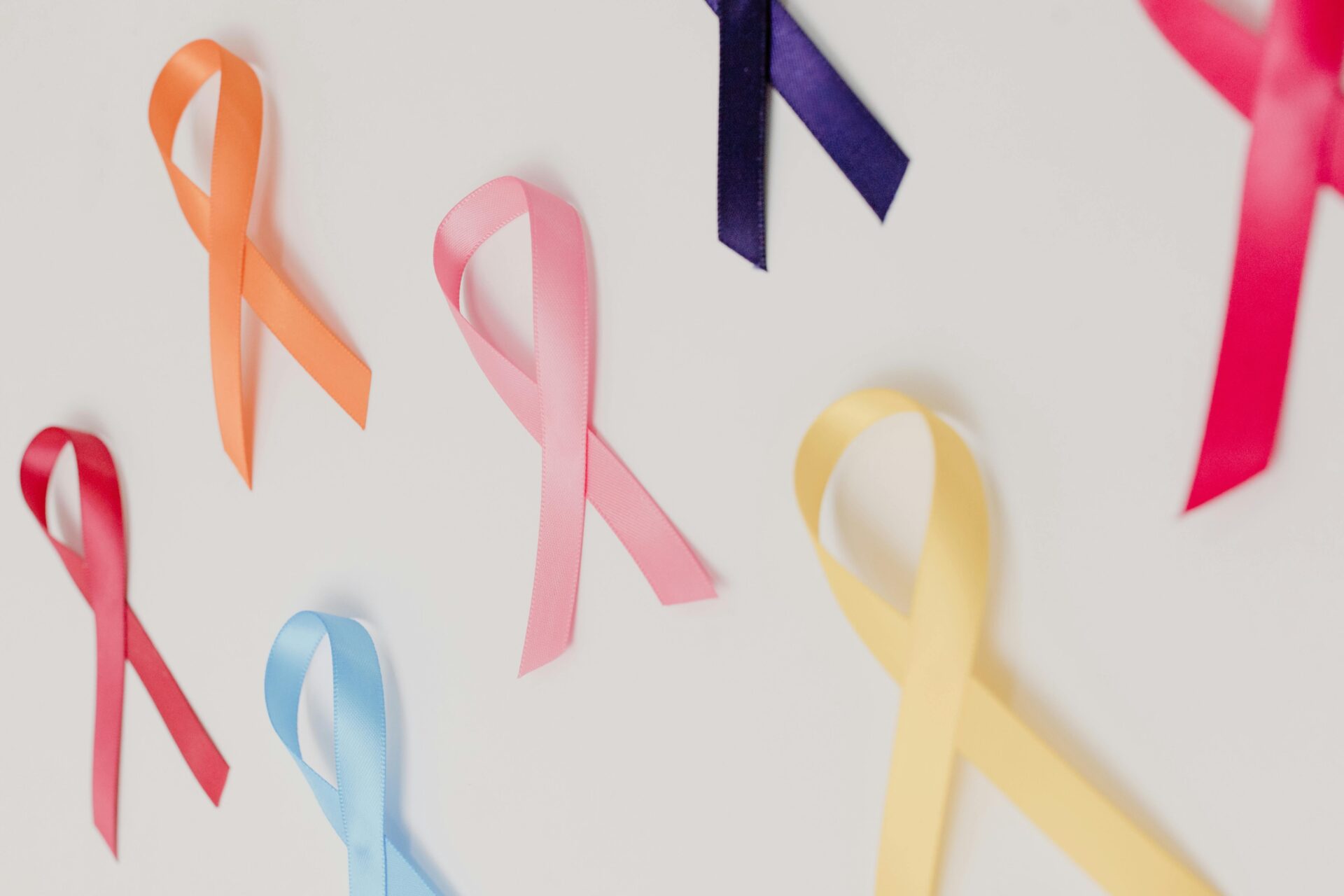 Fighting Cancer