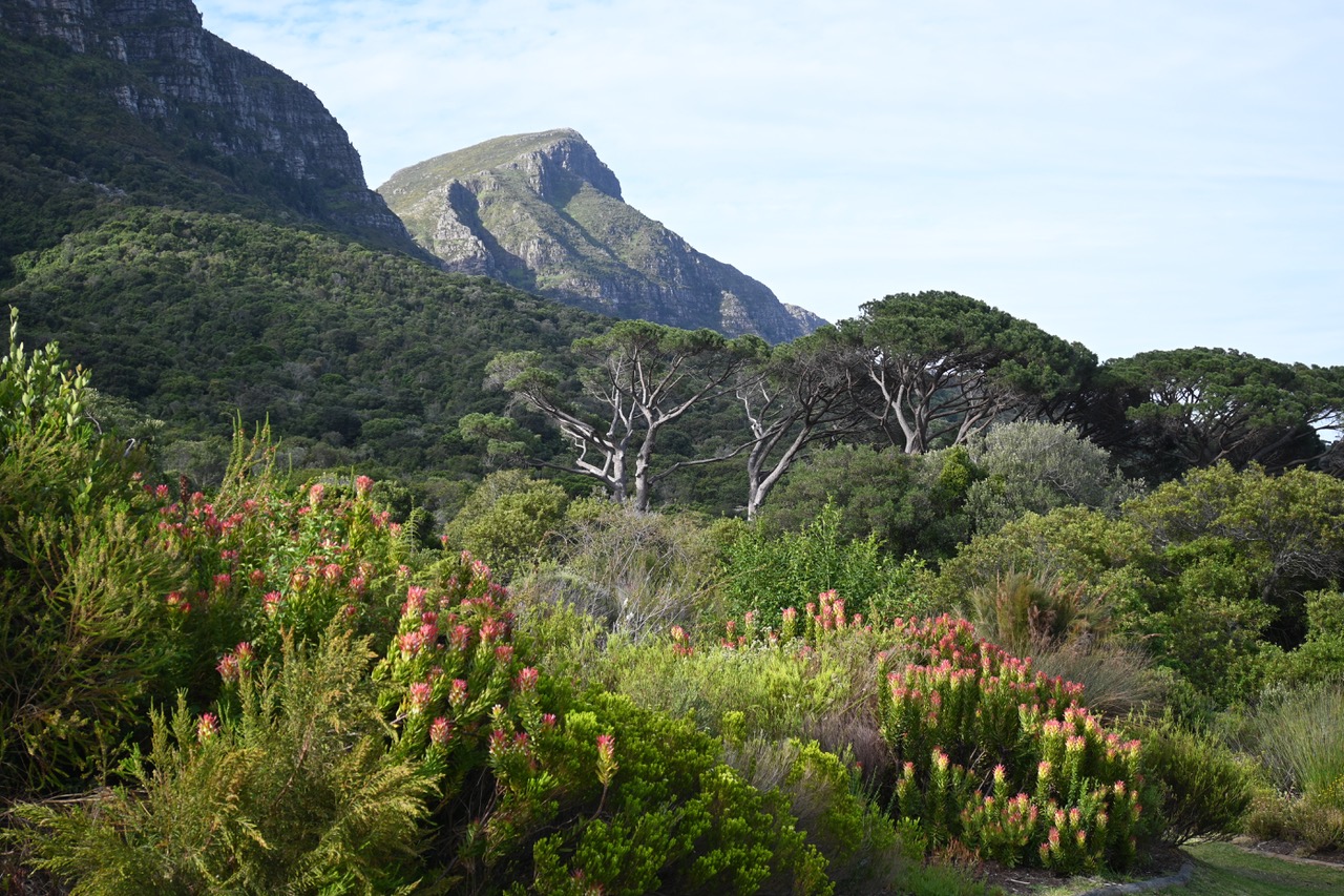 Serenity Must-See Gardens