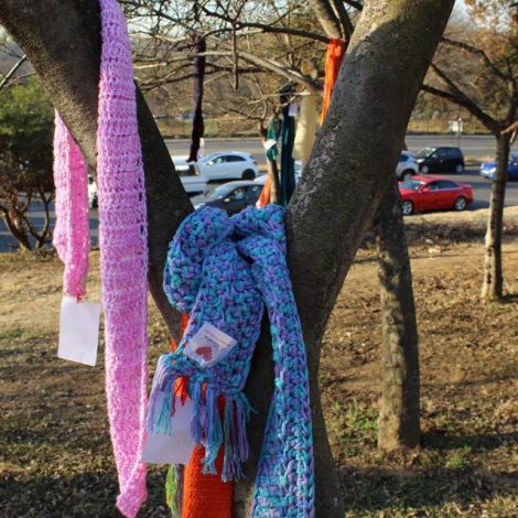 Carolyn Steyn scarves