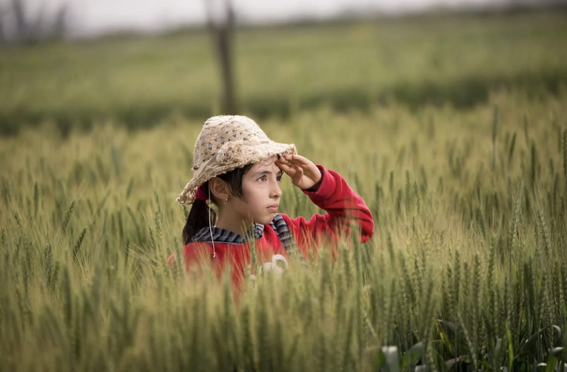 Big Biodiversity Challenge