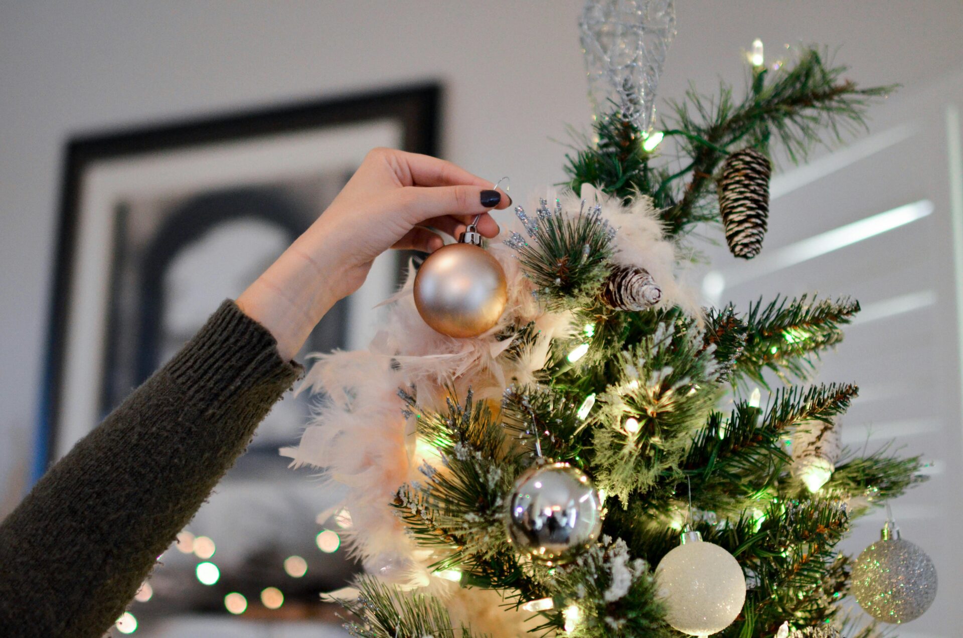 Magic of Christmas