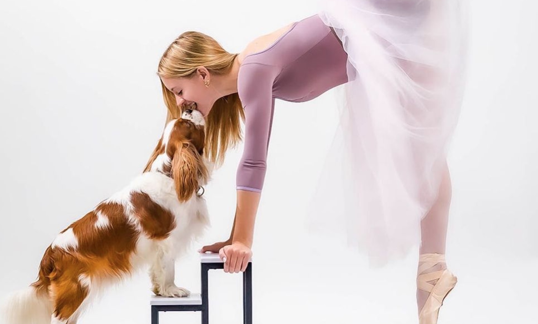 Dancers Love Dogs