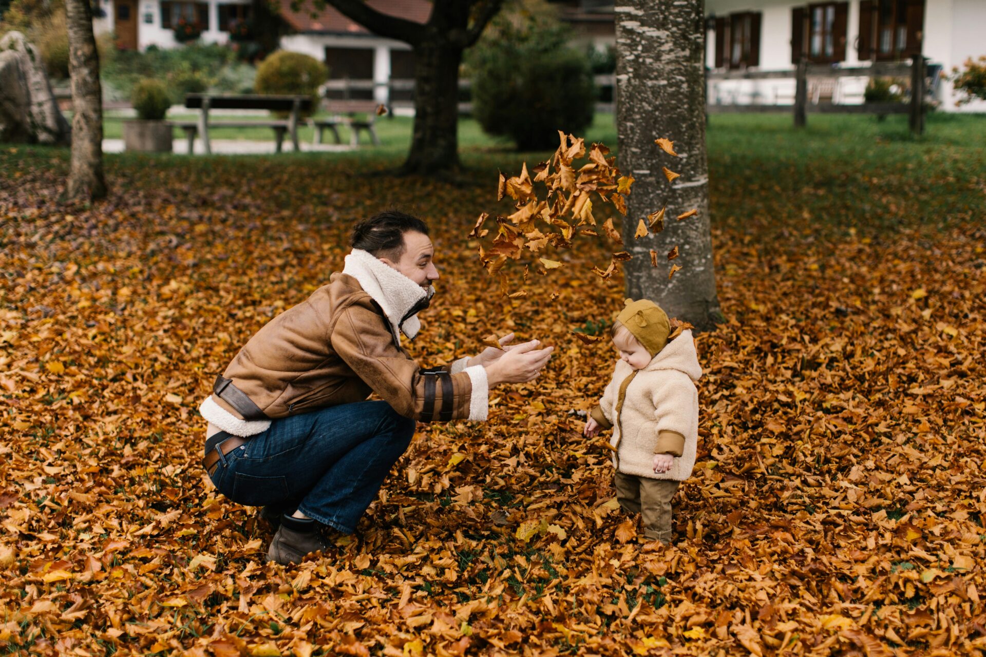 the leaves