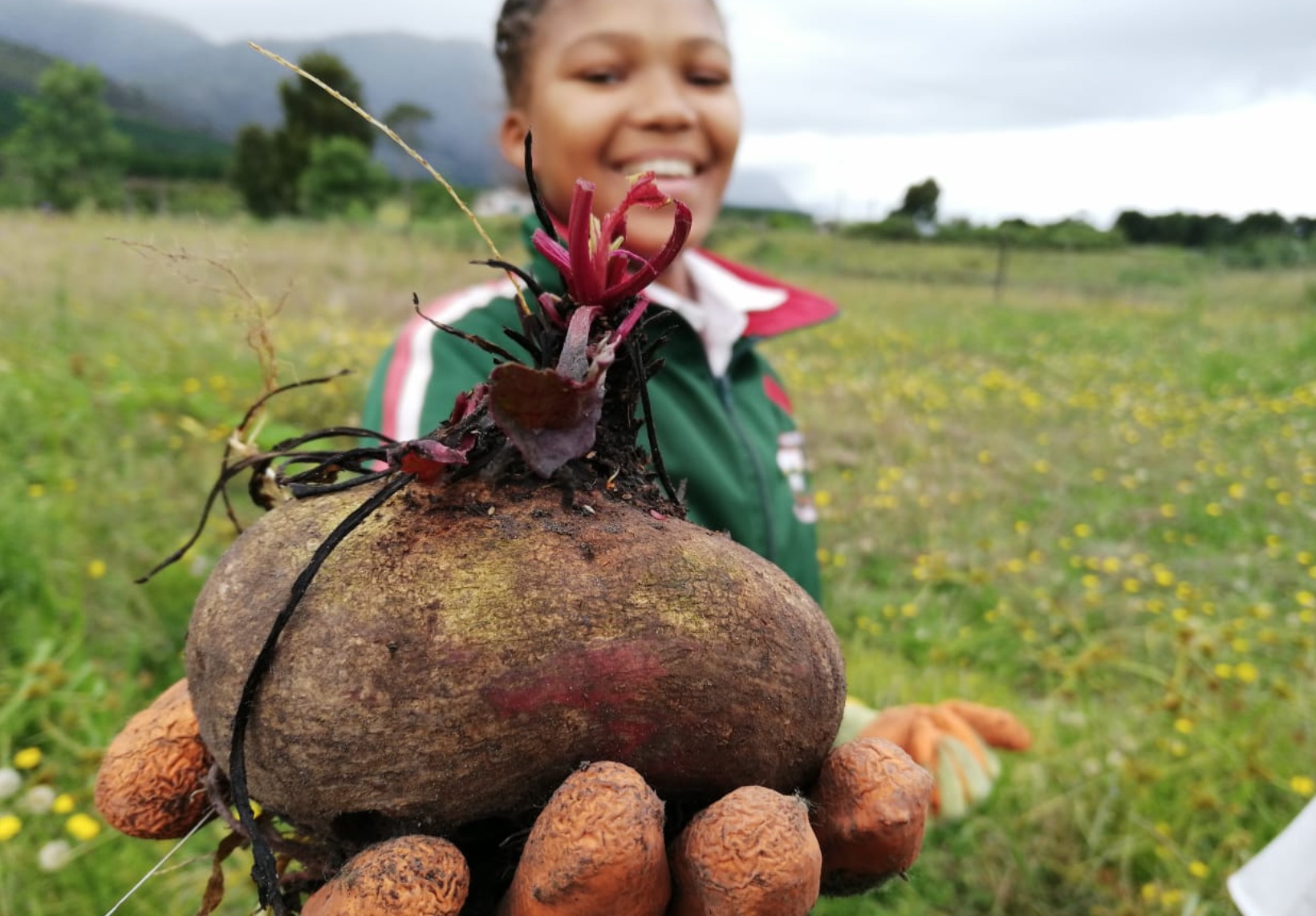 Food Systems