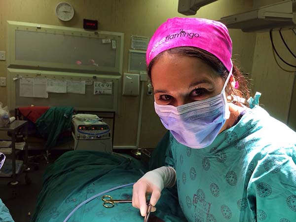 Breast Cancer Free Surgery