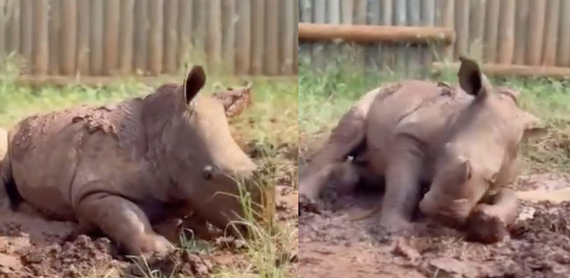 Mud bath