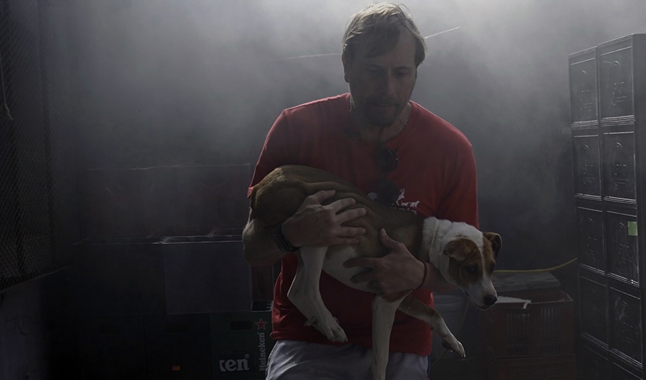 Heroes in the Flames: Animal Welfare Team Saves Trapped Dogs from Vrygrond Fire