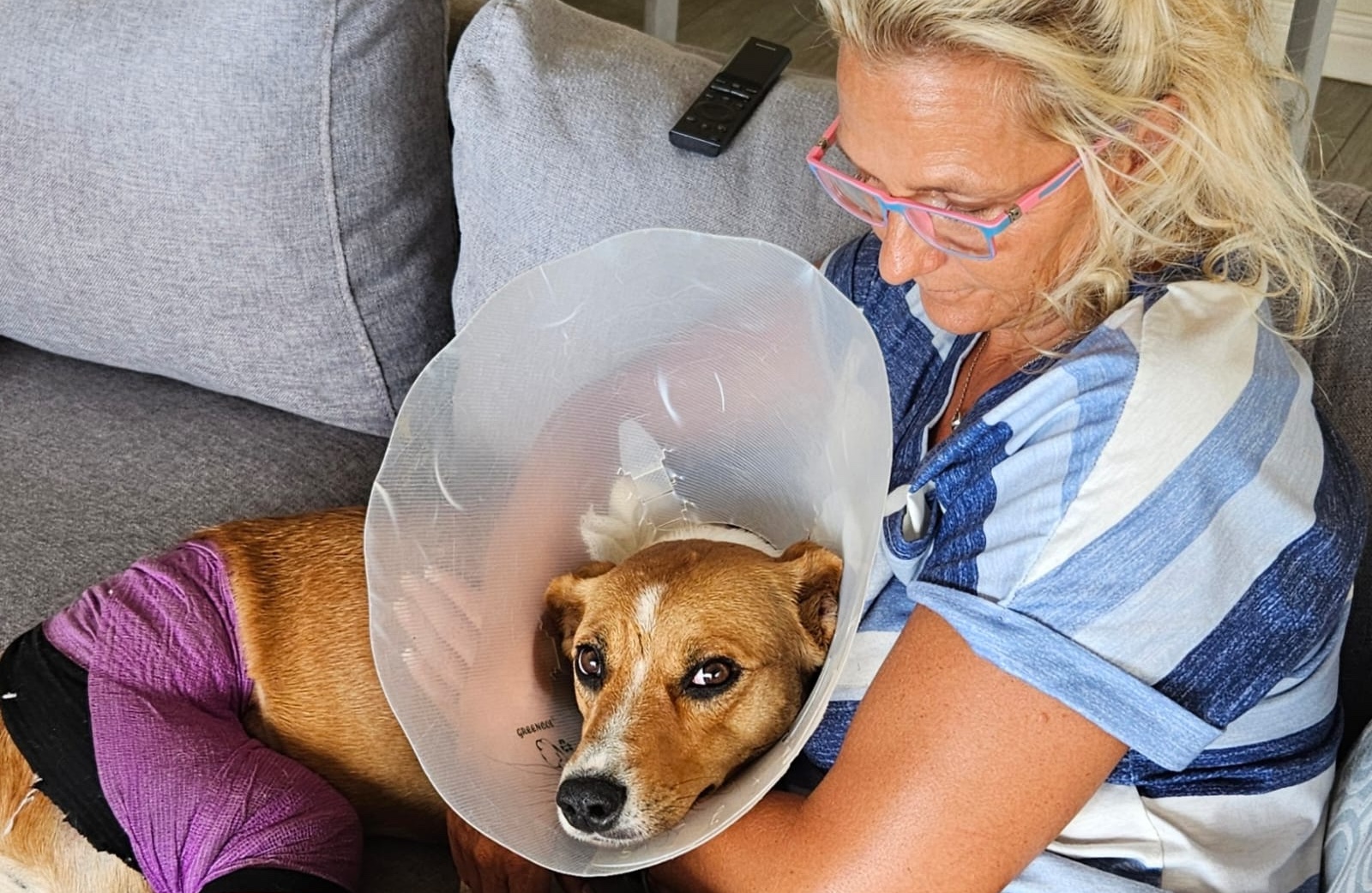 Pup Attacked with a Panga Fights for Life with Community’s Help