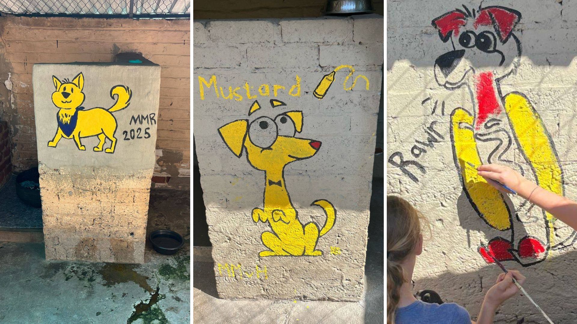 kennel makeover