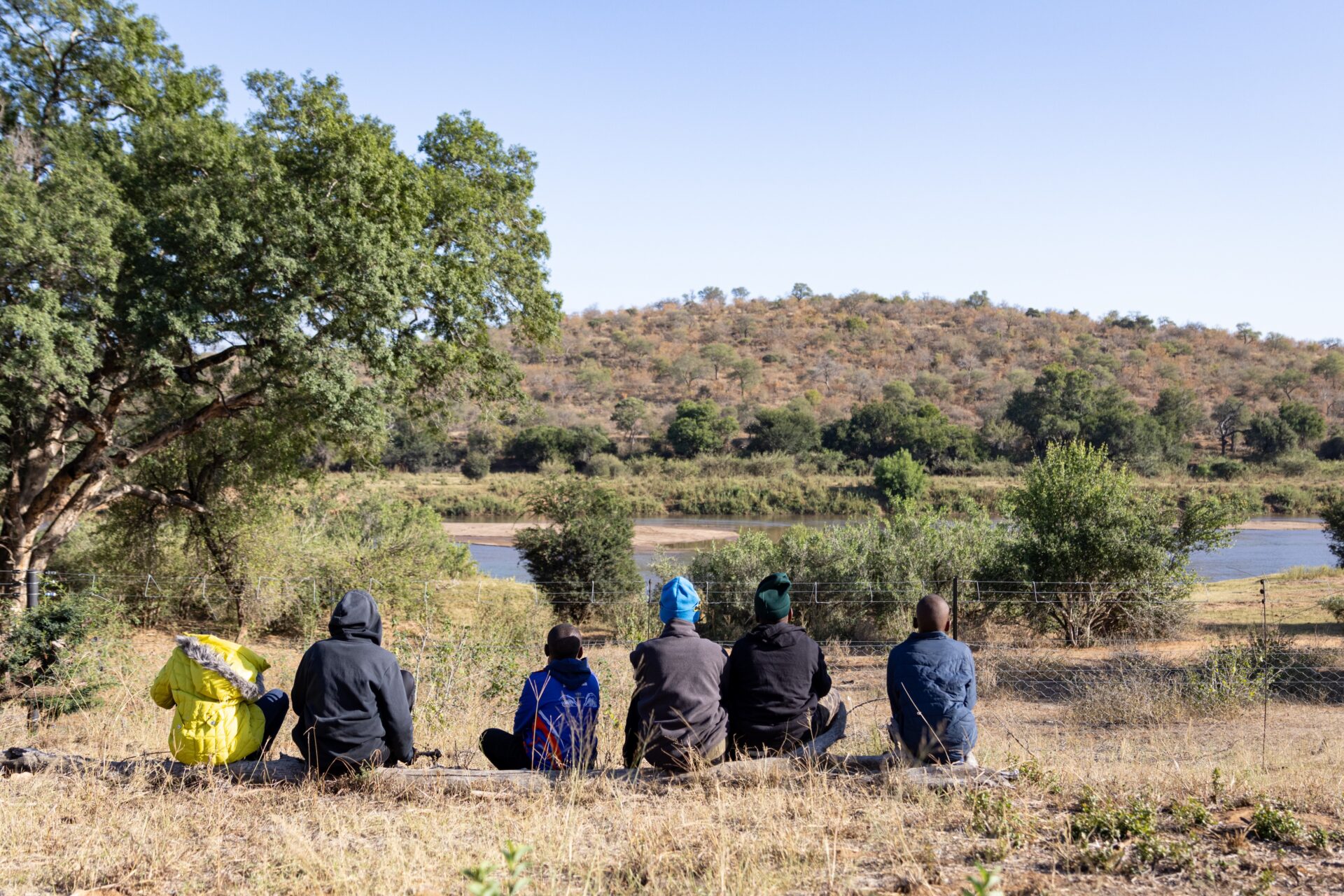 Koru Camp