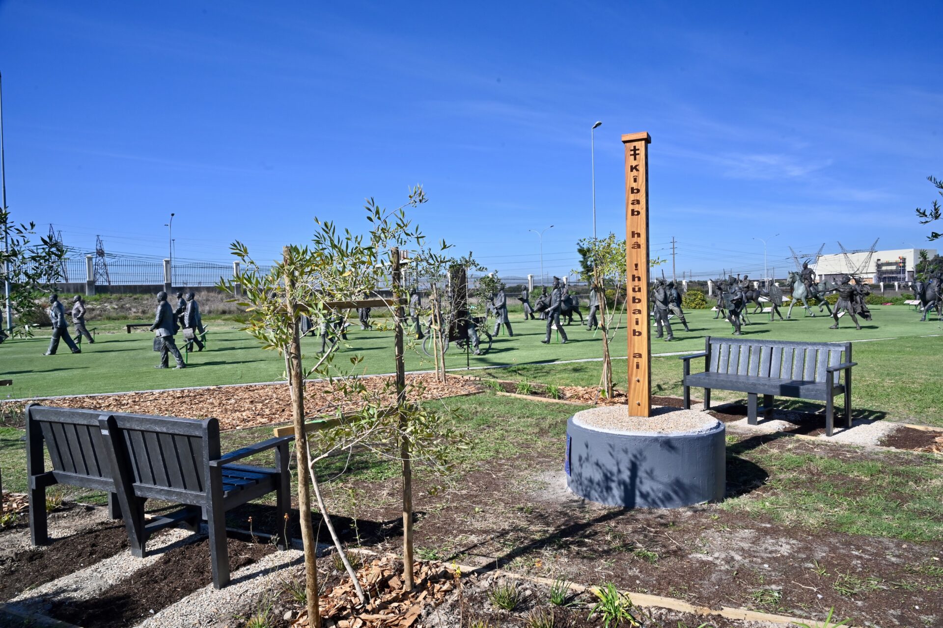 Planting Peace