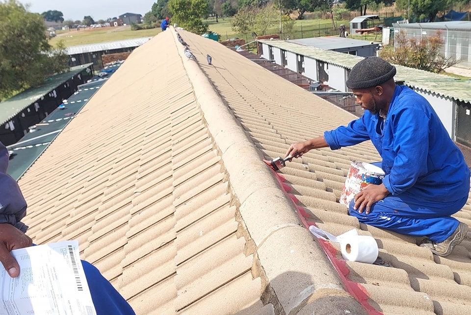 Roof Surprise
