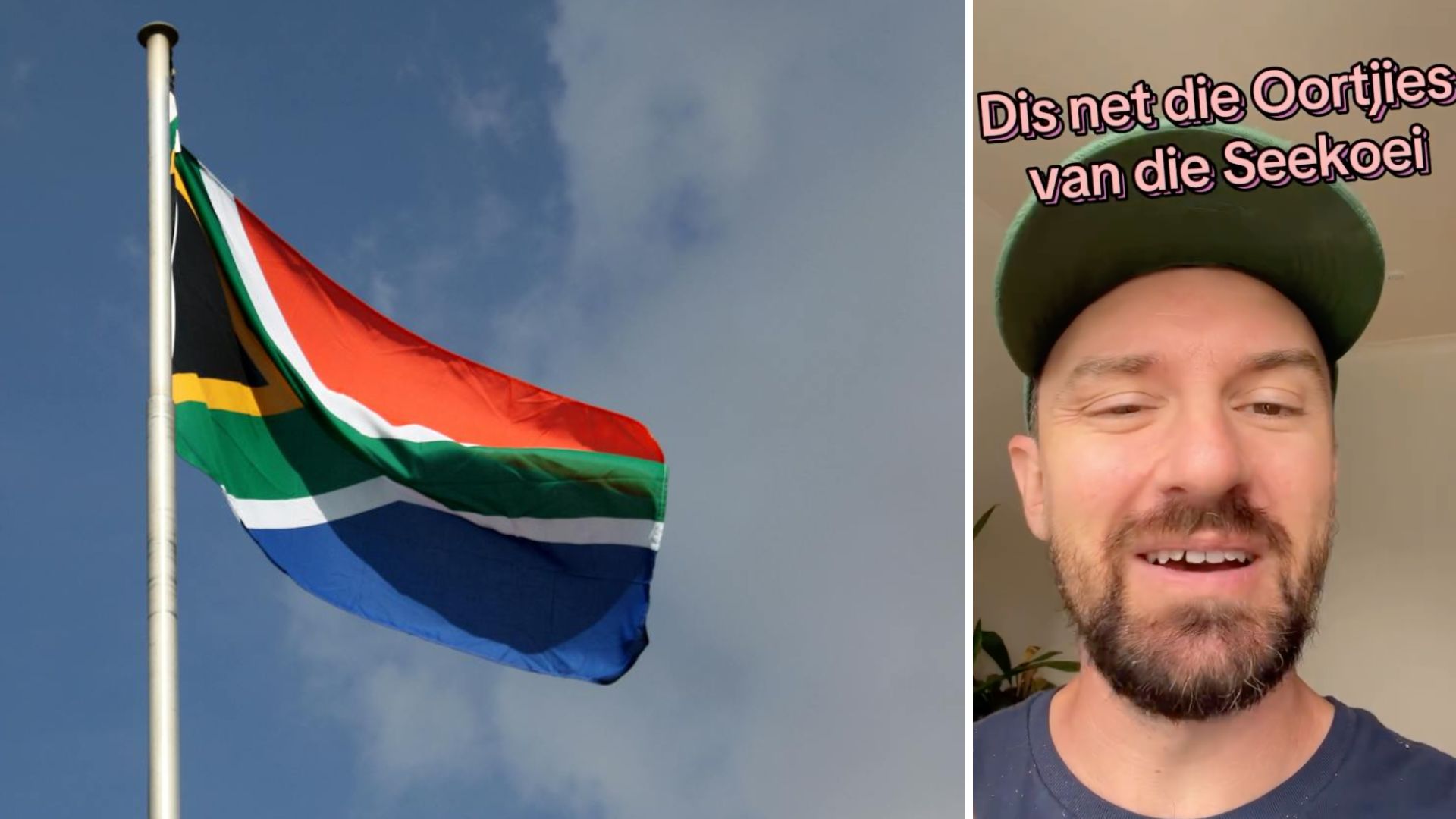 Afrikaans Texan