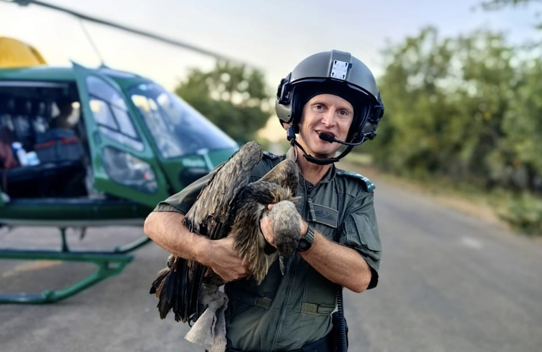 Vultures