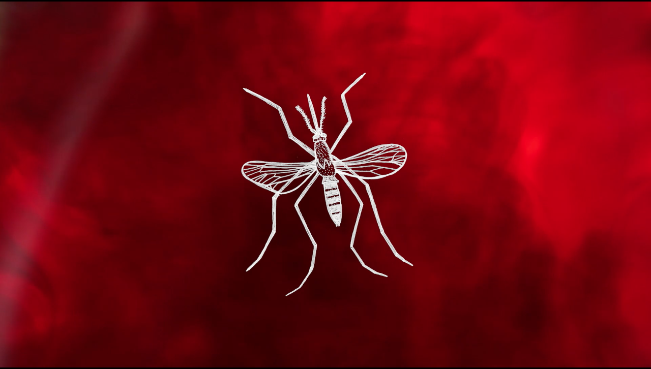 Malaria New life-saving Malaria vaccine launched in Malawi